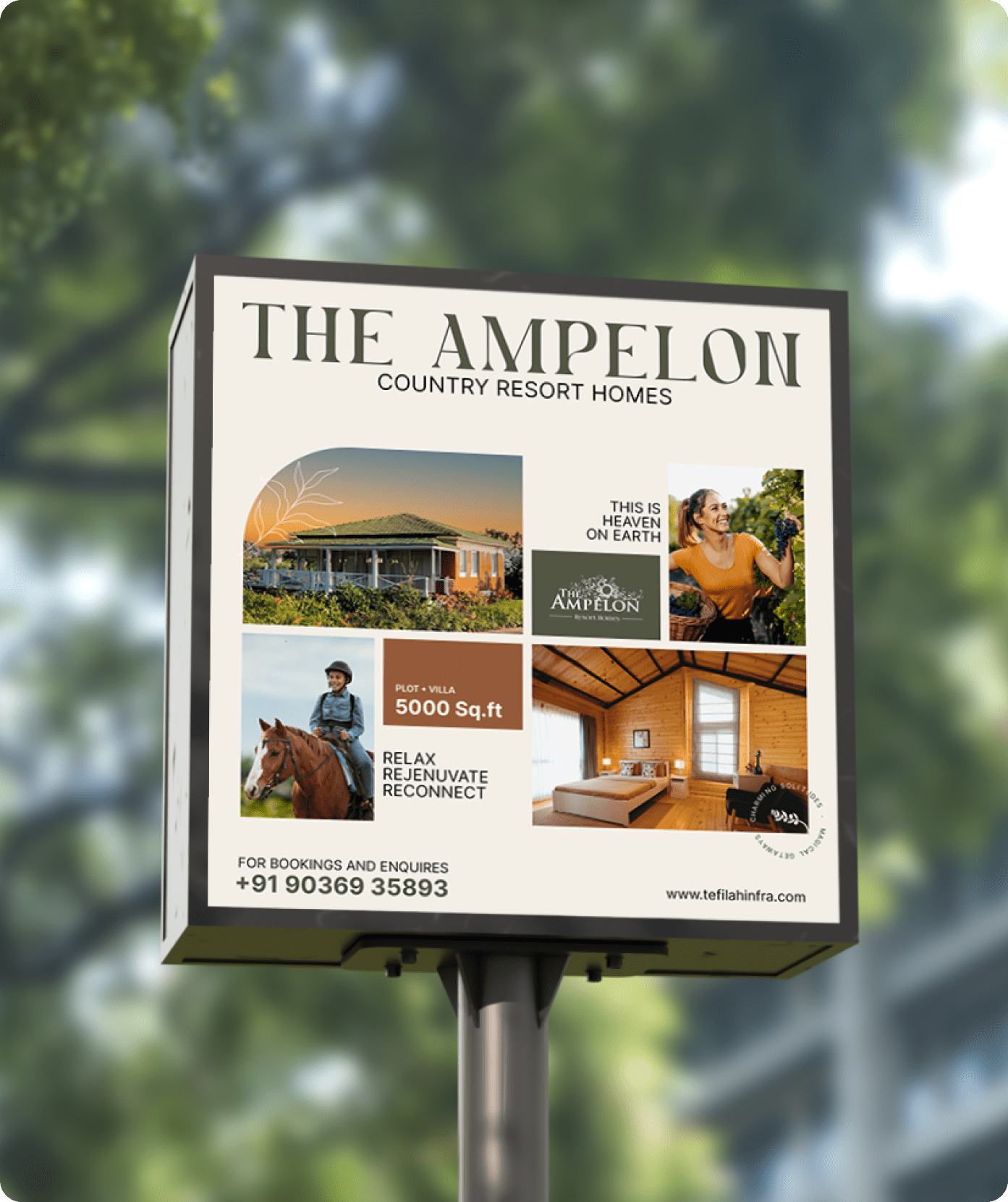 The image of ampelon branding digital signage mockup designed by wings