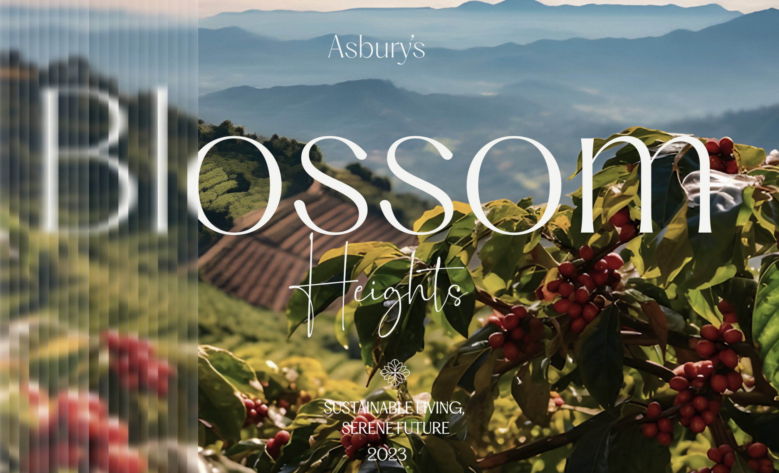 The image of blossom heights branding with hilly background designed by Wings