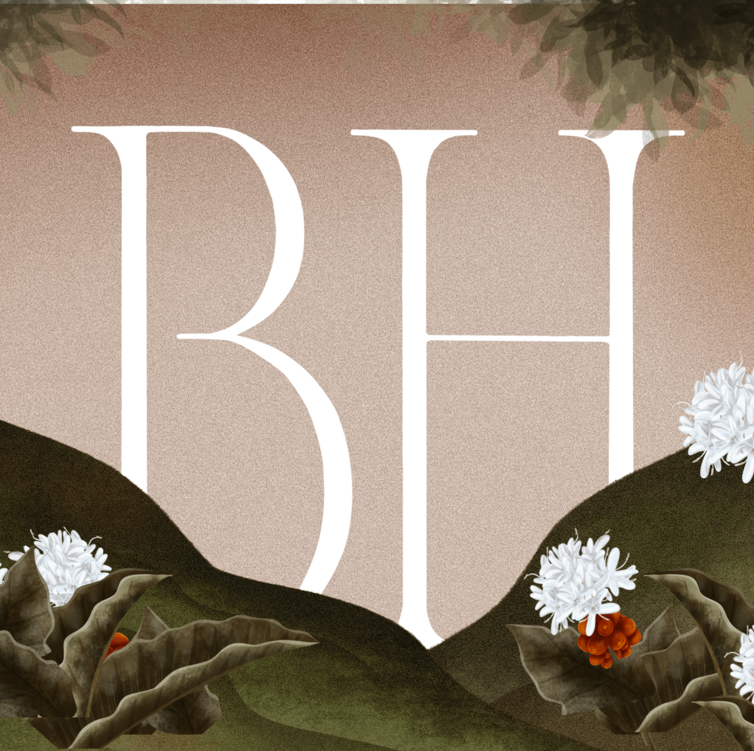 The image of blossom heights branding with illustrated flowers and greeny mountain designed by Wings