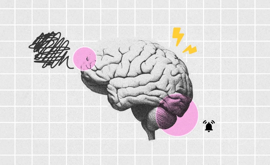 calm-design-in-a-noisy-world-wings-design-studio